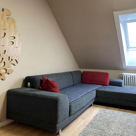 S-Villa Apartments Im Schwarzwald Schiltach Ngoại thất bức ảnh