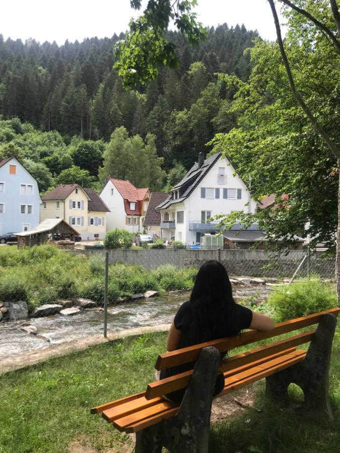 S-Villa Apartments Im Schwarzwald Schiltach Ngoại thất bức ảnh