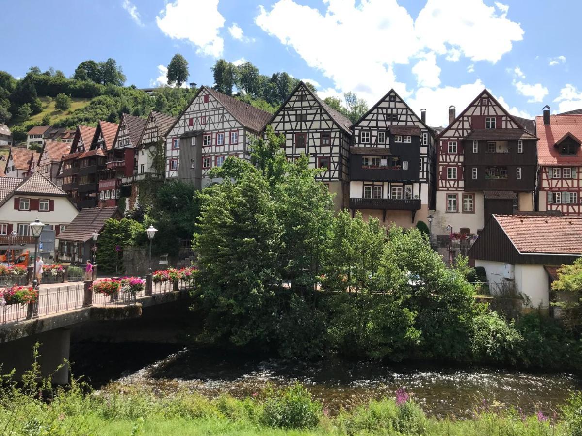 S-Villa Apartments Im Schwarzwald Schiltach Ngoại thất bức ảnh