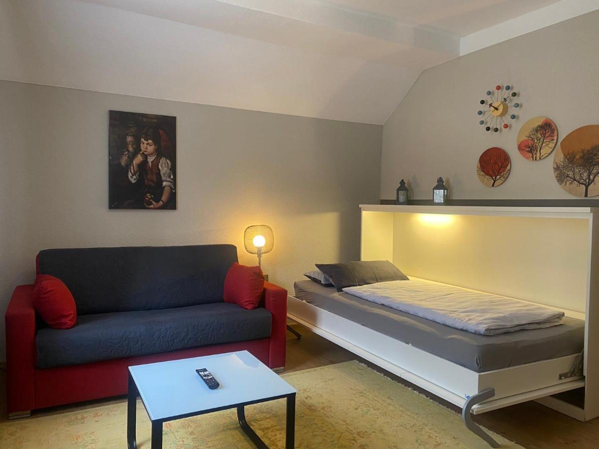 S-Villa Apartments Im Schwarzwald Schiltach Ngoại thất bức ảnh