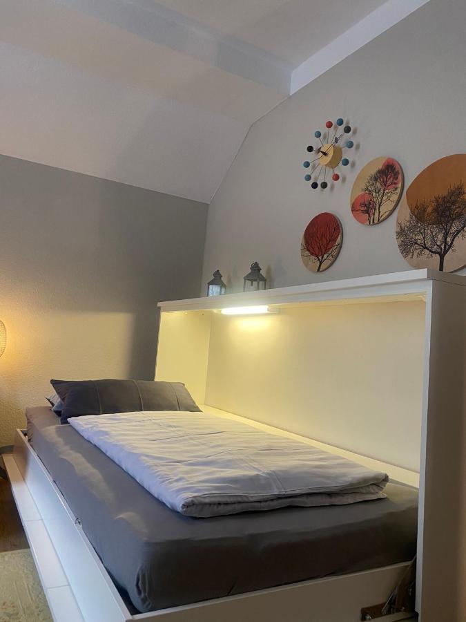 S-Villa Apartments Im Schwarzwald Schiltach Ngoại thất bức ảnh