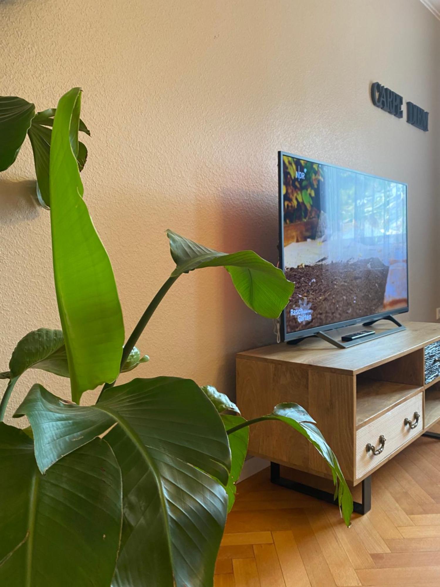 S-Villa Apartments Im Schwarzwald Schiltach Ngoại thất bức ảnh